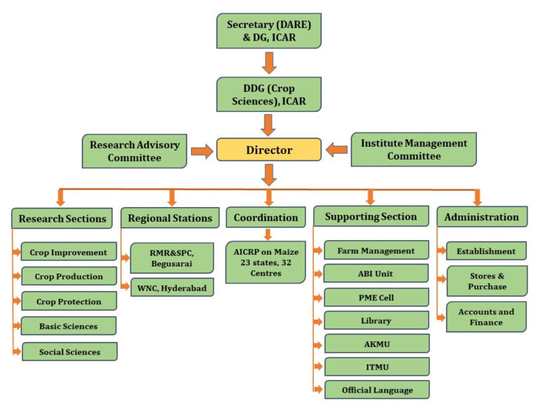 Organogram – ICAR-Indian Institute of Maize Research